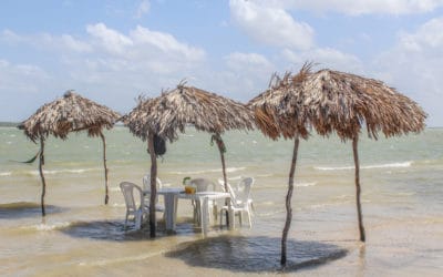 Ein Traum aus Sand in Jericoacoara: Die schönste Oase Brasiliens