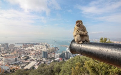 Gibraltar – Von dichtem Nebel, einem bekannten Felsen und Affen
