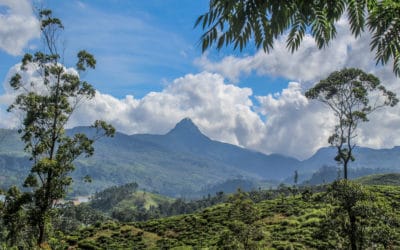 Adams Peak – Alles, was du über den Pilgerweg in Sri Lanka wissen musst!