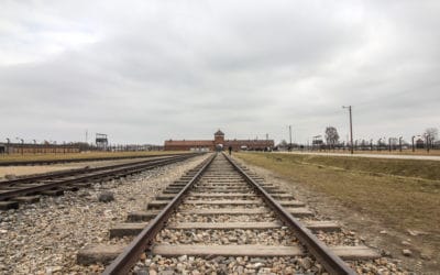 Auschwitz in Fotos – Wenn Worte nicht genug sind