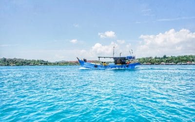 Fotoparade 2018 – Meine schönsten Fotos aus dem ersten Halbjahr