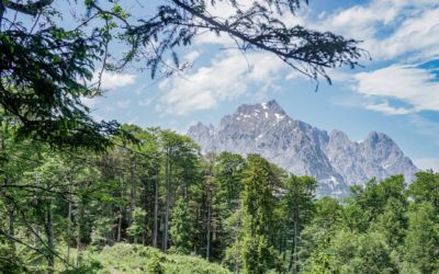 Der Koasa Trail – Wandern in Tirol
