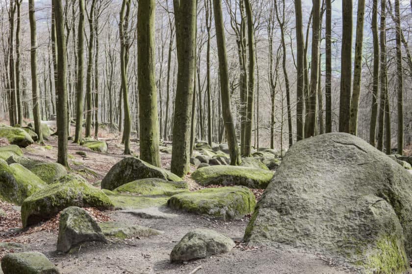 Der Odenwald Unterwegs im schönen Odenwald