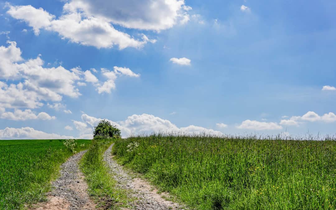 Fotoparade 2020 – Meine schönsten Fotos aus diesem Jahr
