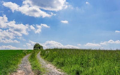 Fotoparade 2020 – Meine schönsten Fotos aus diesem Jahr