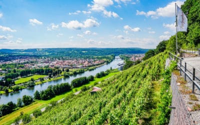 Der Fränkische Rotwein Wanderweg – 6 Tage in Churfranken