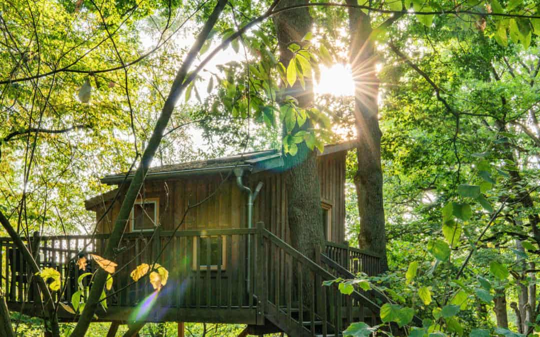 Im Baumhaushotel Wipfelglück – Eine Nacht auf Stelzen