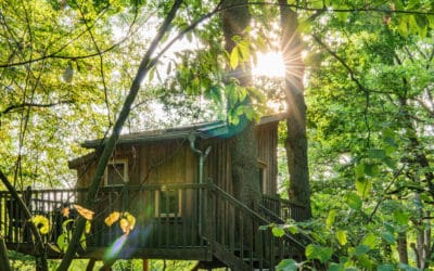Im Baumhaushotel Wipfelglück – Eine Nacht auf Stelzen