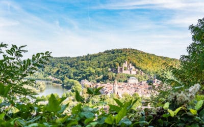 Blick auf die Burg Wertheim