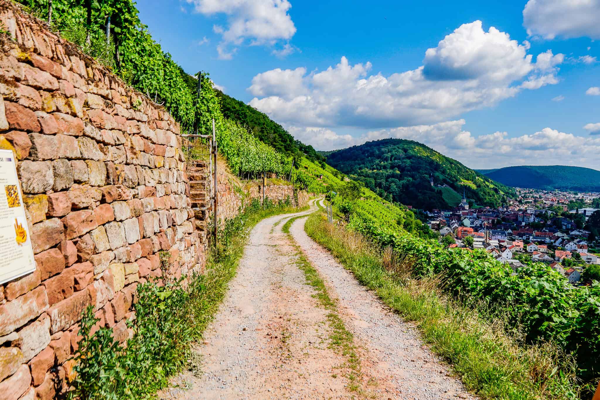Rotwein Wanderweg Klingenberg