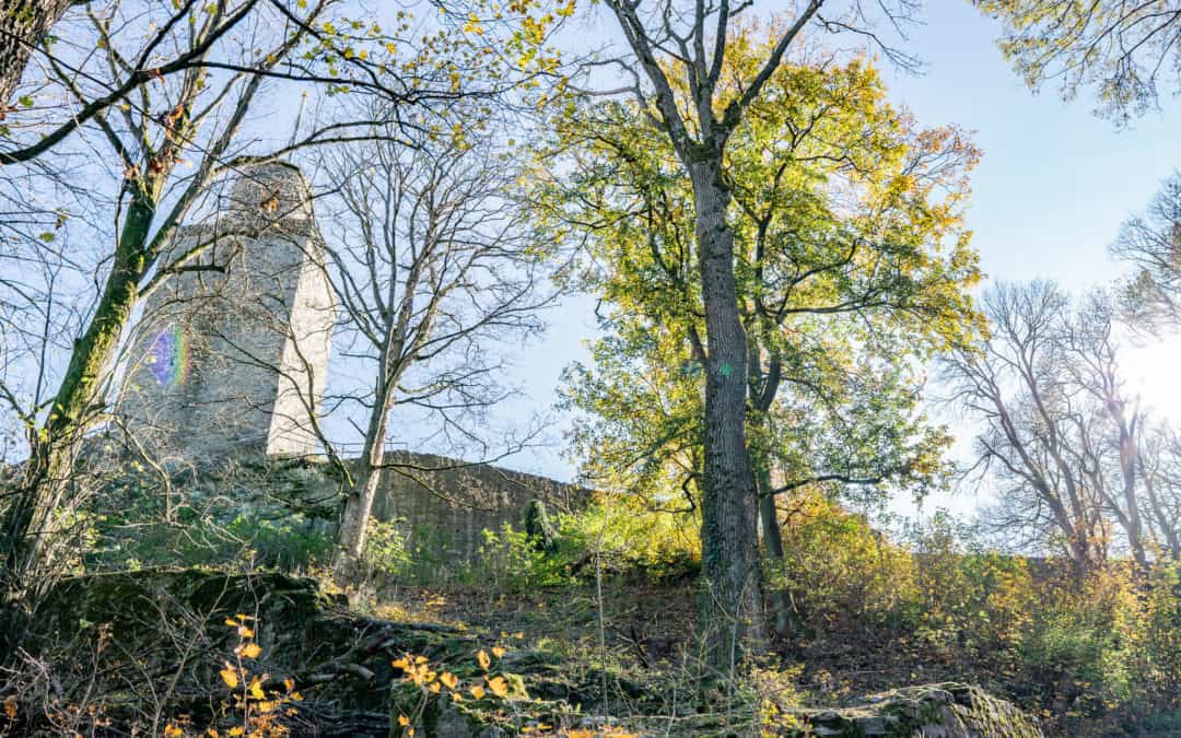 Der Drei-Burgen-Weg – Der schönste Rundweg des Taunus