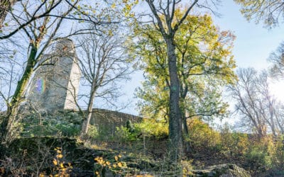 Der Drei-Burgen-Weg – Der schönste Rundweg des Taunus