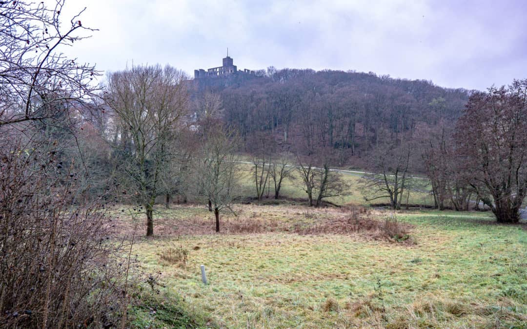 Woogtalrunde – Vom Königsteiner Tal zum Dettweiler Tempel