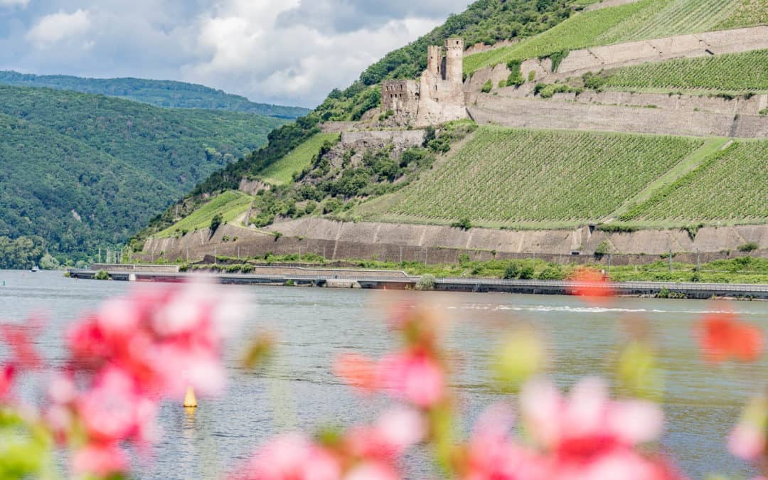 Bingen – Rhein-Romantik zwischen Reben und einer Heiligen