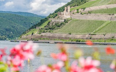 Bingen – Rhein-Romantik zwischen Reben und einer Heiligen