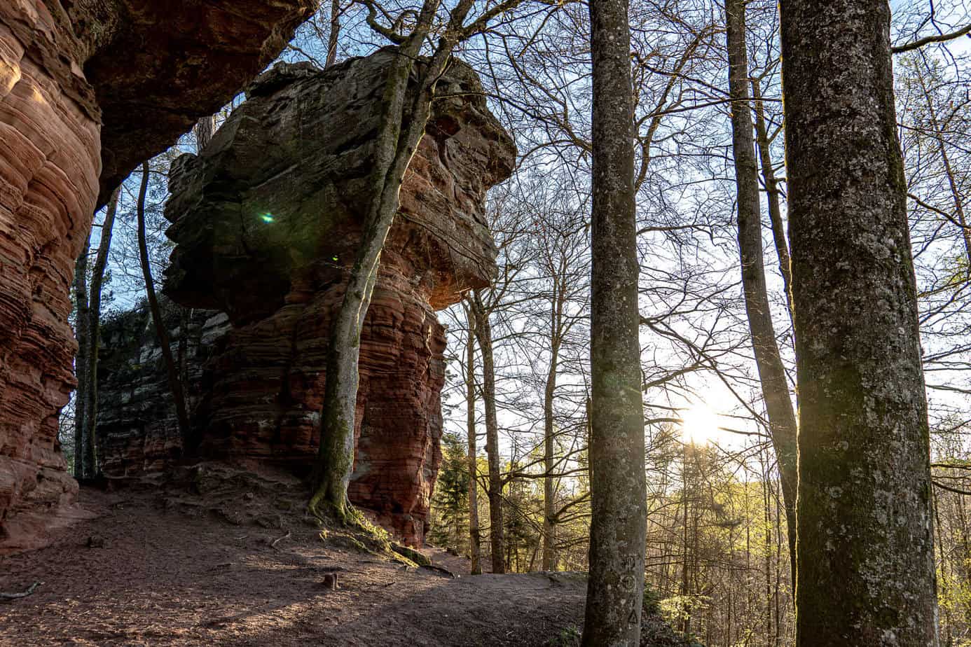 Bis zu 30 Meter hohe Felstürme an den Altschlossfelsen