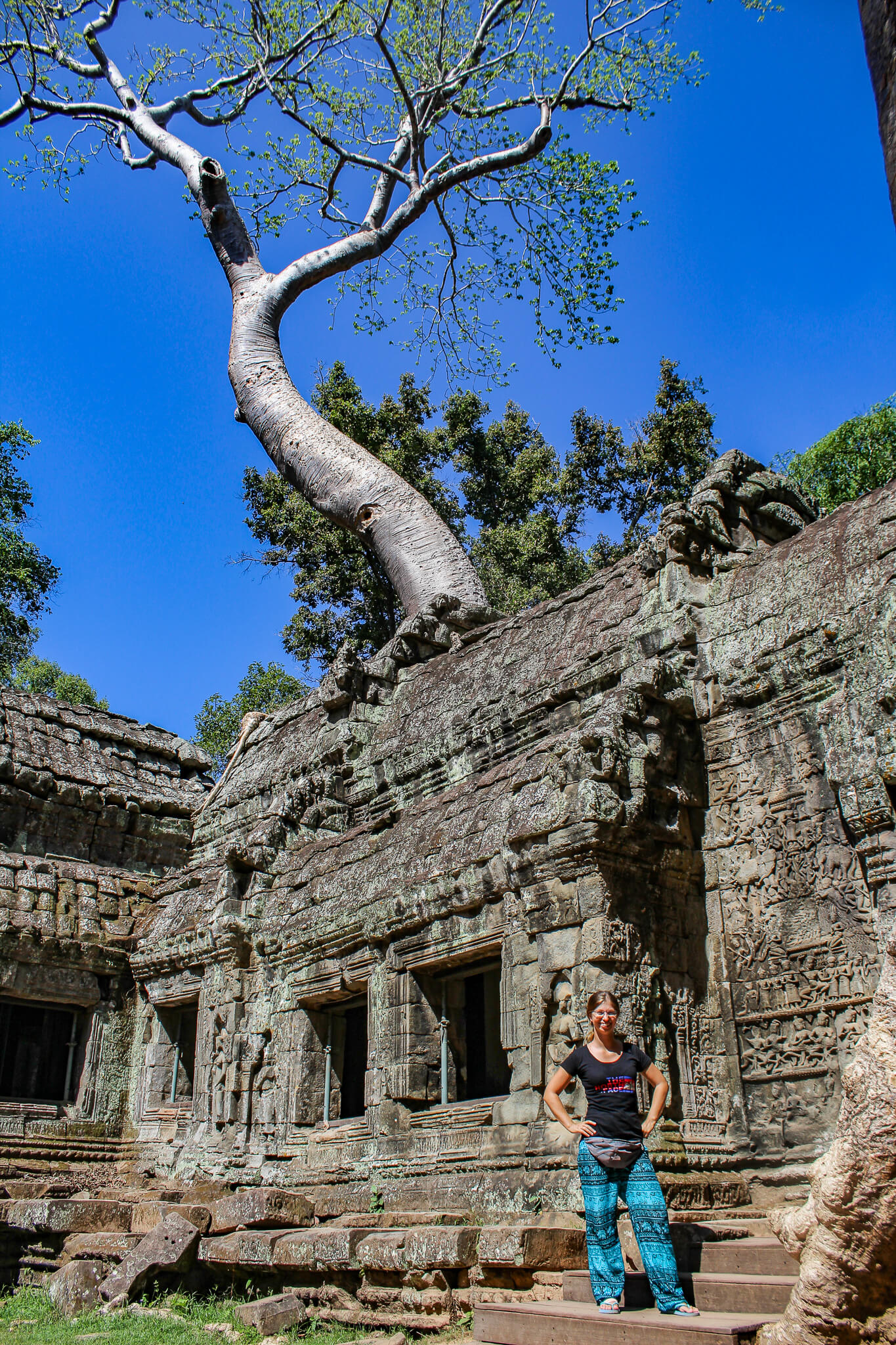 Mein Must-See #1 in SOA: Angkor Wat 5 Ta Prohm Baum wächst aus Tempel