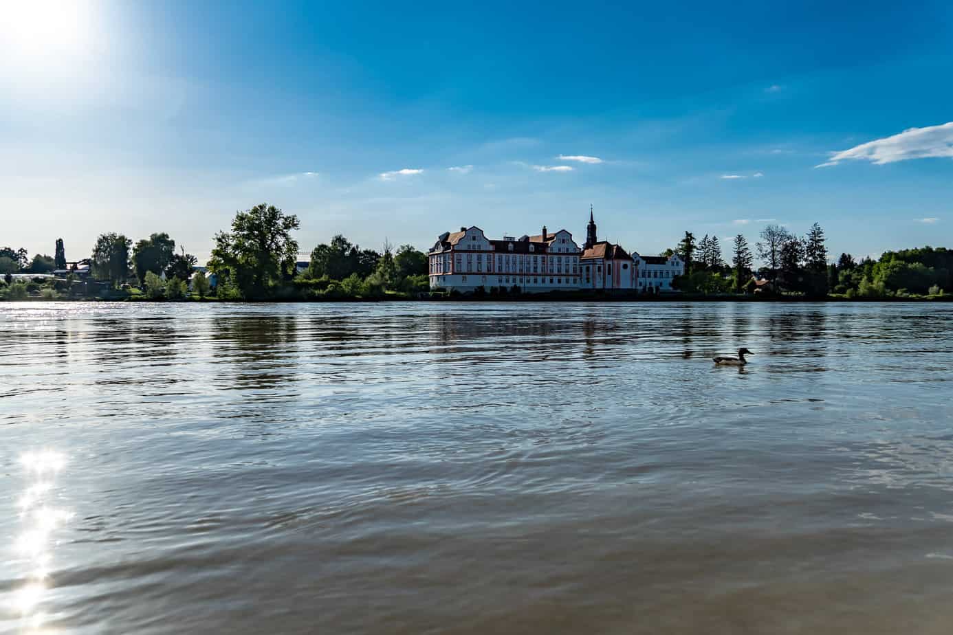 Ente vor Schloss Neuhaus
