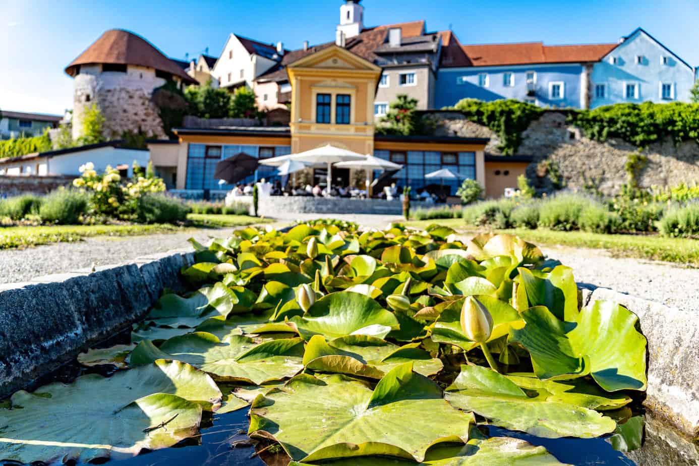 Im Kurpark Schärding