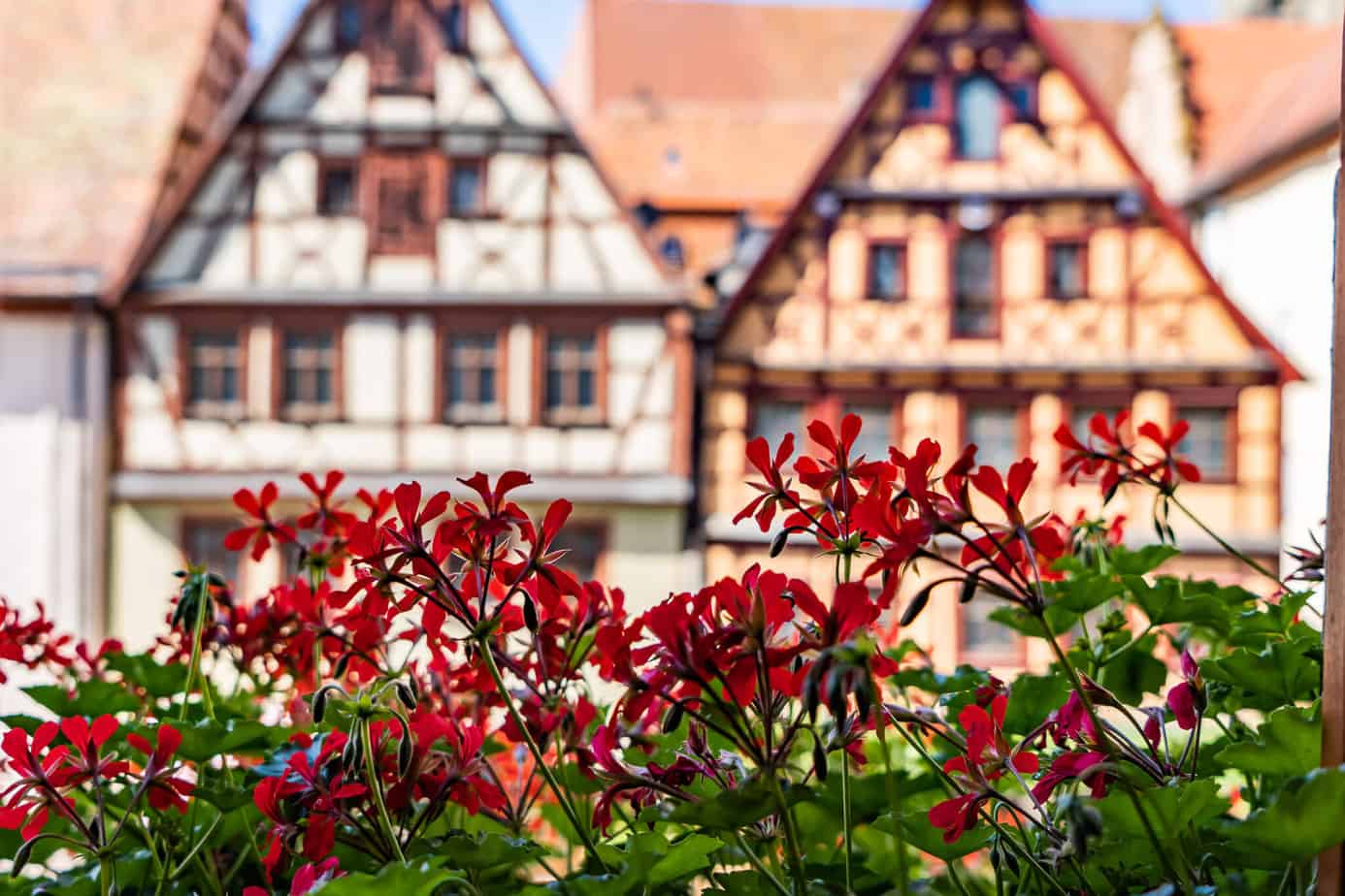 Blick aus dem Fenster im Hotel Gotisches Haus