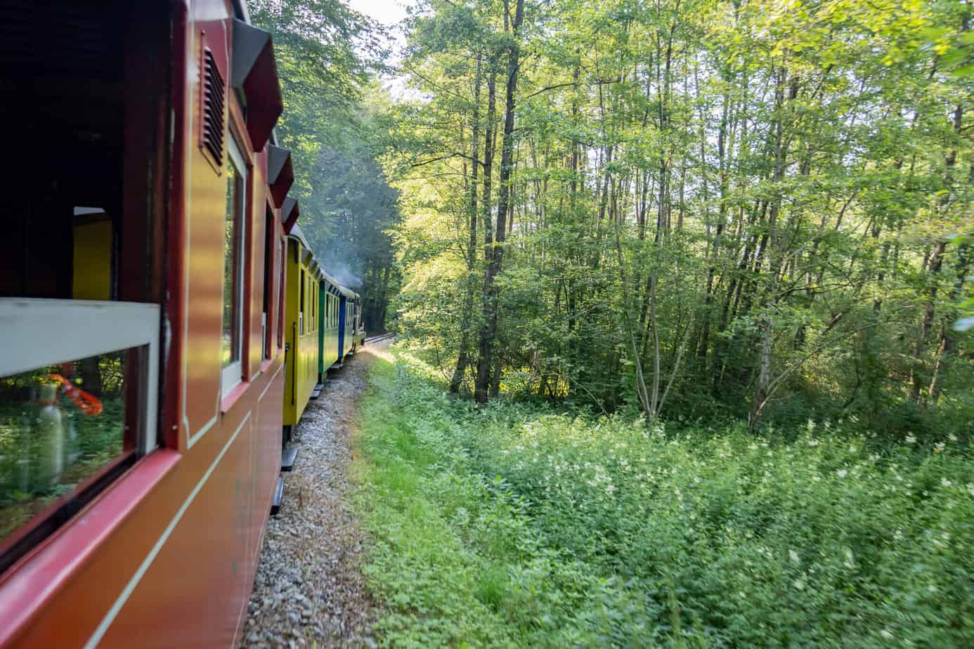 Genussreise in die Südsteiermark – Im Land von Schilcher, Kernöl & Lavendel 14 Der Stainzer Flascherlzug