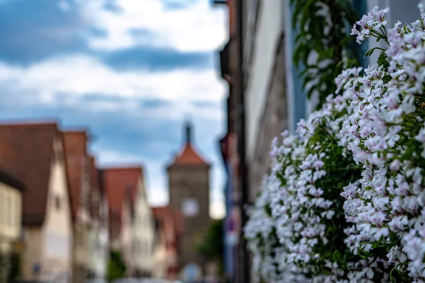 Eine etwas andere Sicht aufs Plönlein