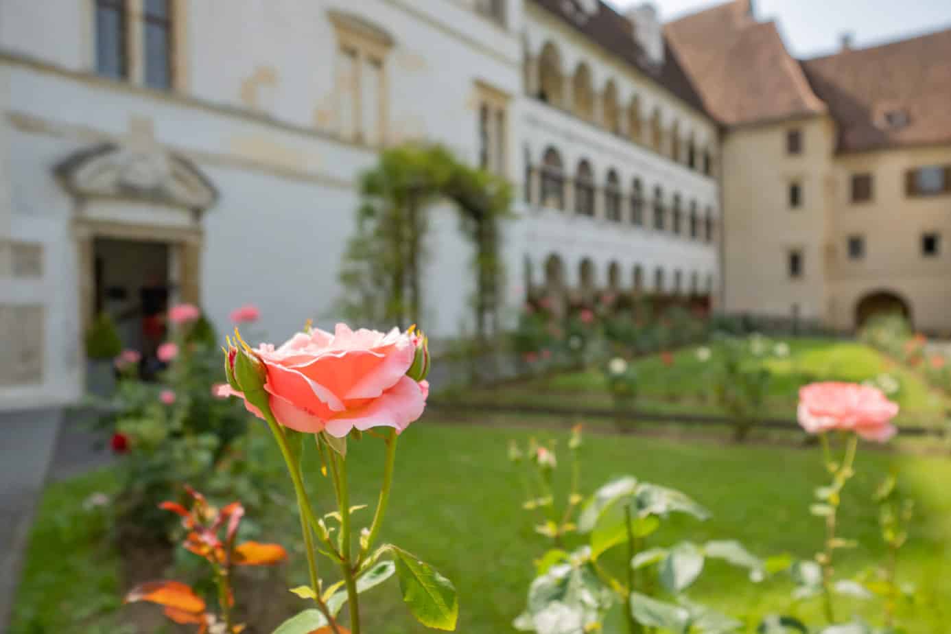 Genussreise in die Südsteiermark – Im Land von Schilcher, Kernöl & Lavendel 11 In Schloss Seggau