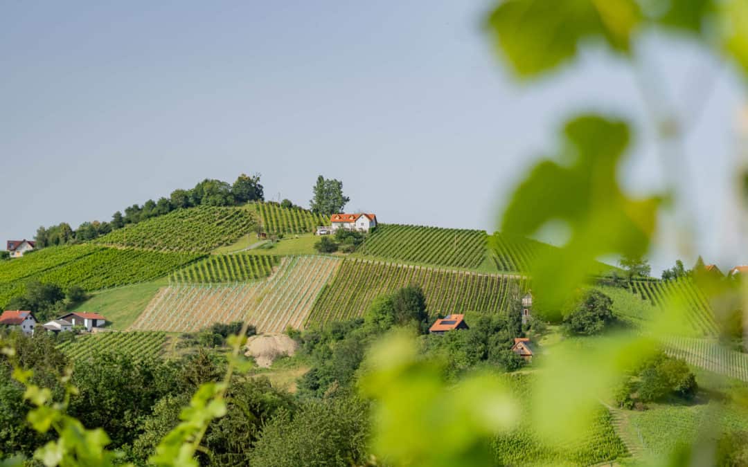 Genussreise in die Südsteiermark – Im Land von Schilcher, Kernöl & Lavendel