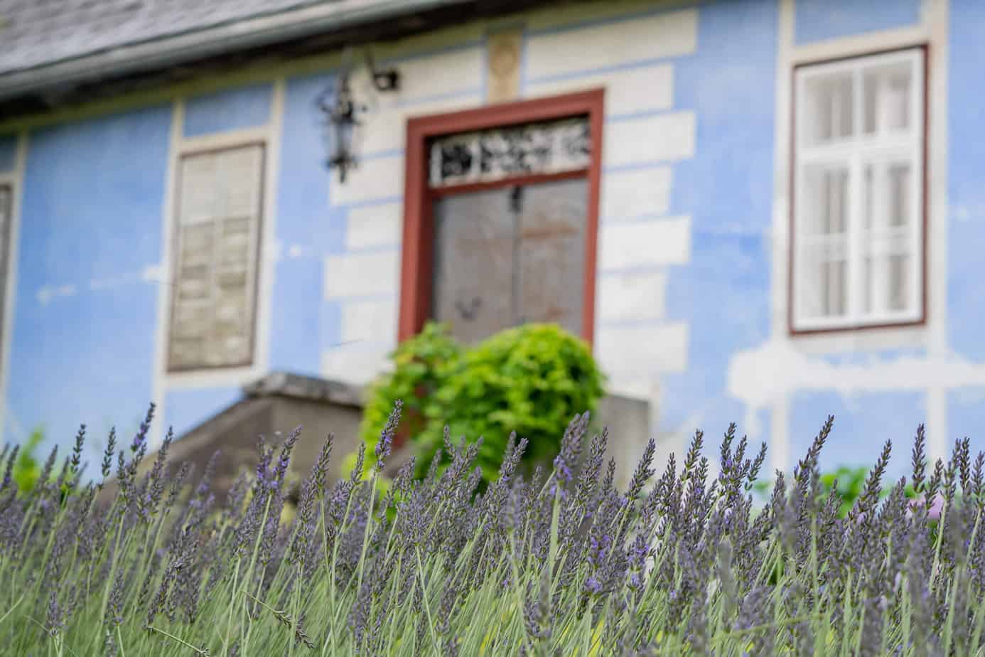 Genussreise in die Südsteiermark – Im Land von Schilcher, Kernöl & Lavendel 10 In der Lavendel Manufaktur