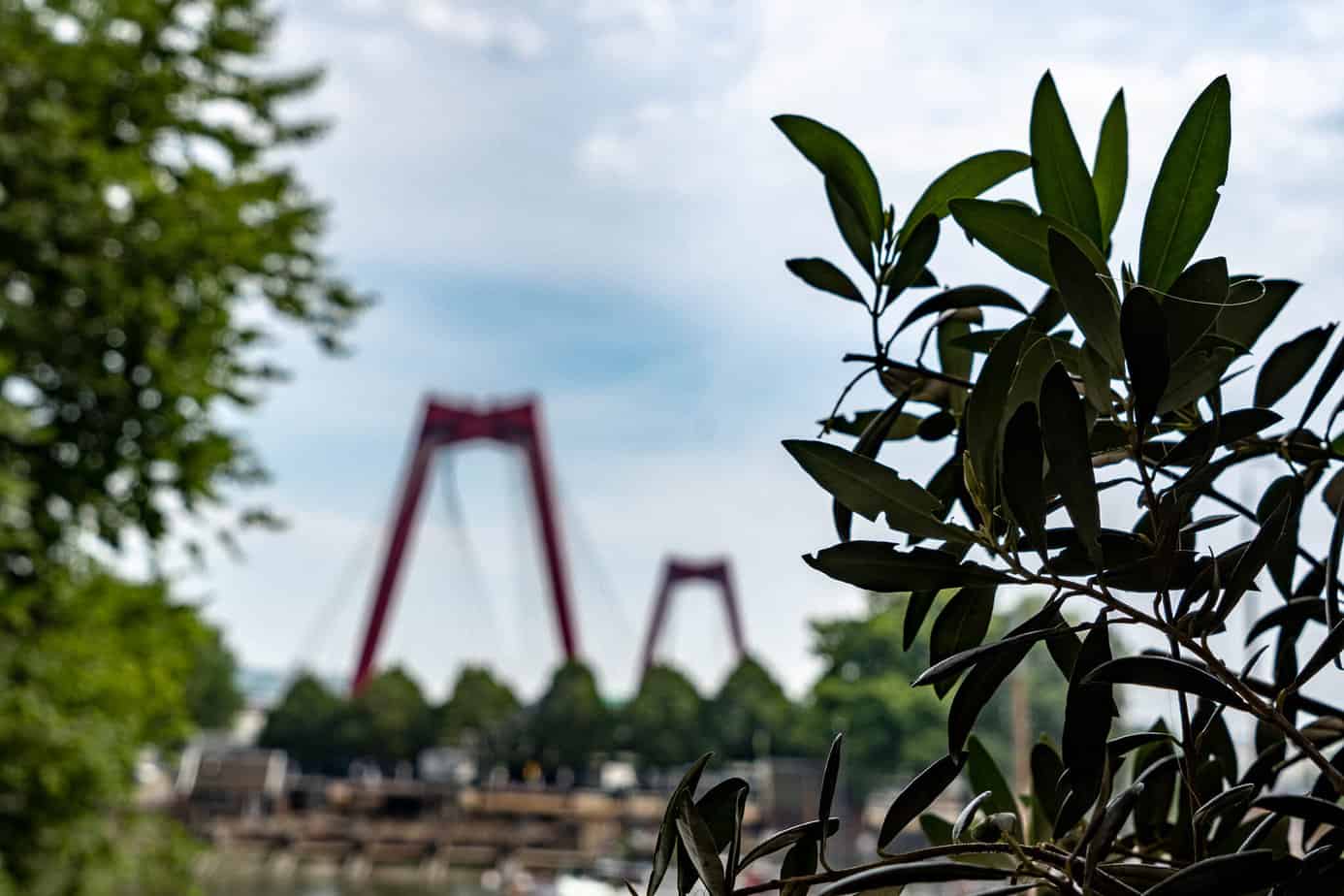 Mit der A-ROSA SENA 7 Tage auf Rhein-Kreuzfahrt 22 Ausblick von den Cube Houses in Rotterdam