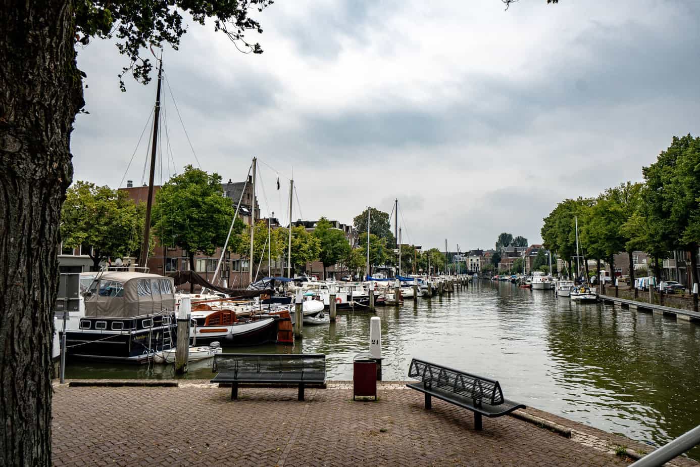 Mit der A-ROSA SENA 7 Tage auf Rhein-Kreuzfahrt 24 In Dordrecht
