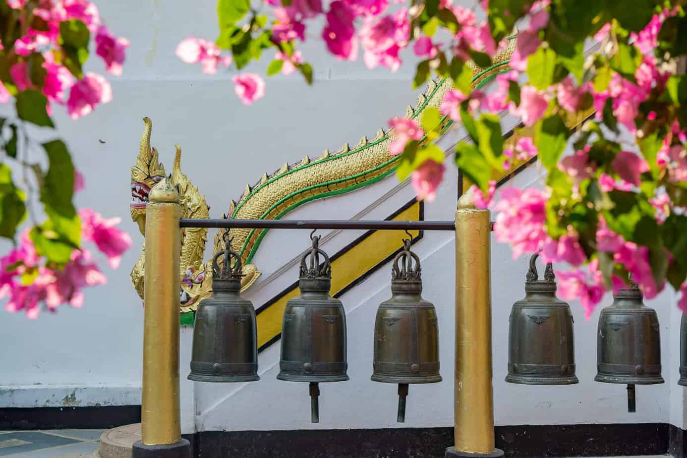 Angekommen auf dem Doi Suthep