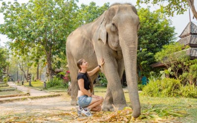 Barbaralicious 1 Chiang Mai Geheimtipps: 10 Highlights für deinen Besuch