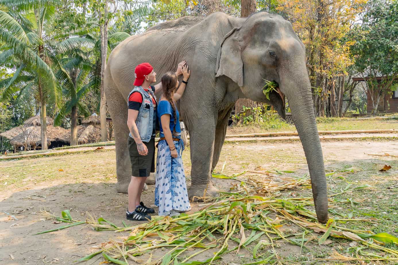 Im Chai Lai Orchid Toby und ich mit Elefanten