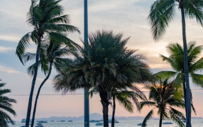 Barbaralicious 1 8 praktische Tipps: Thailand als digitaler Nomade erleben!