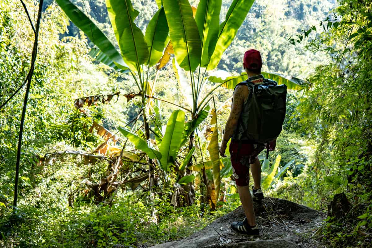 Toby mit dem Osprey Transporter Rucksack