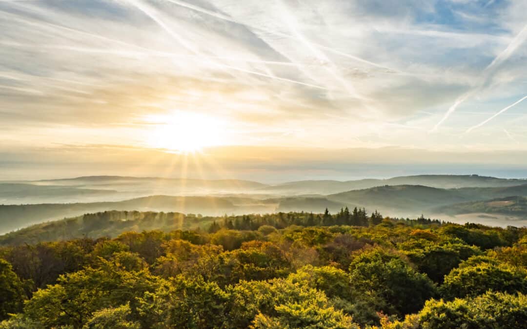 Hoch hinaus – 16 Aussichtstürme im Rhein-Main-Gebiet