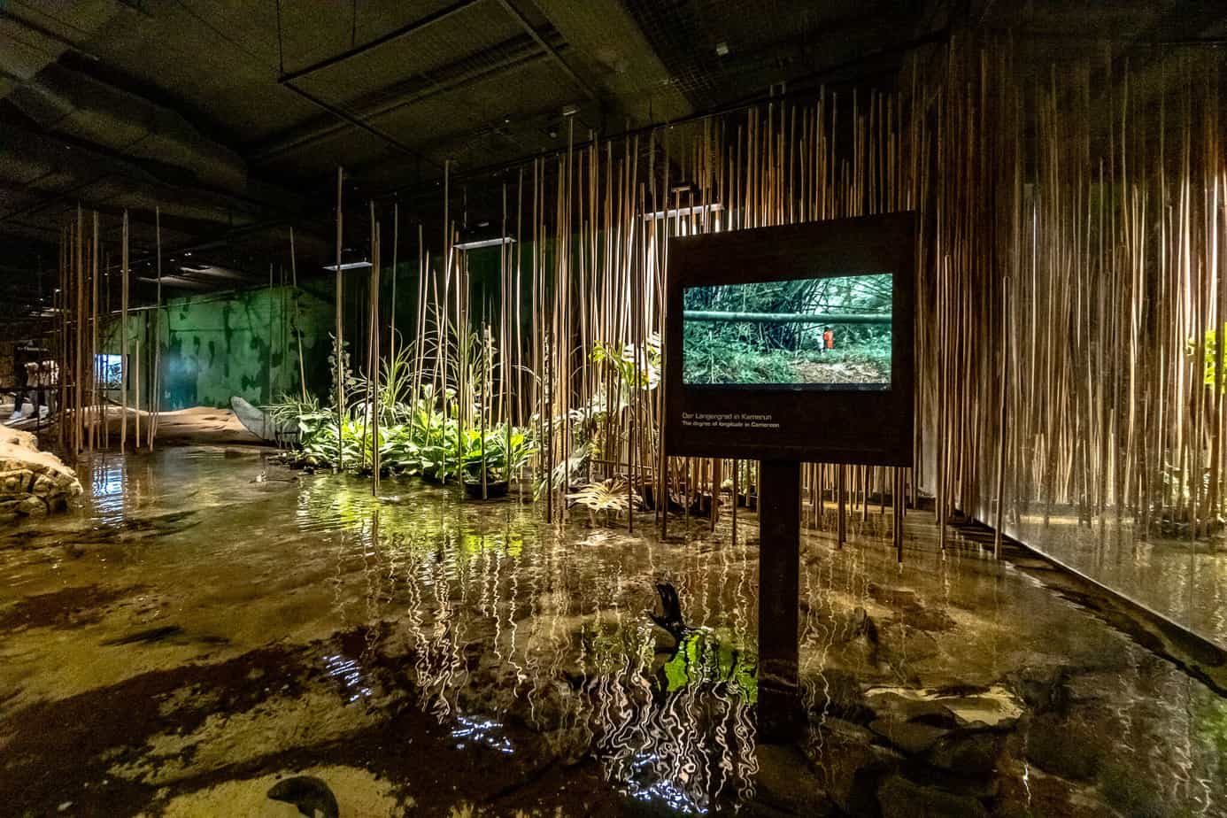 Dschungel im Klimahaus