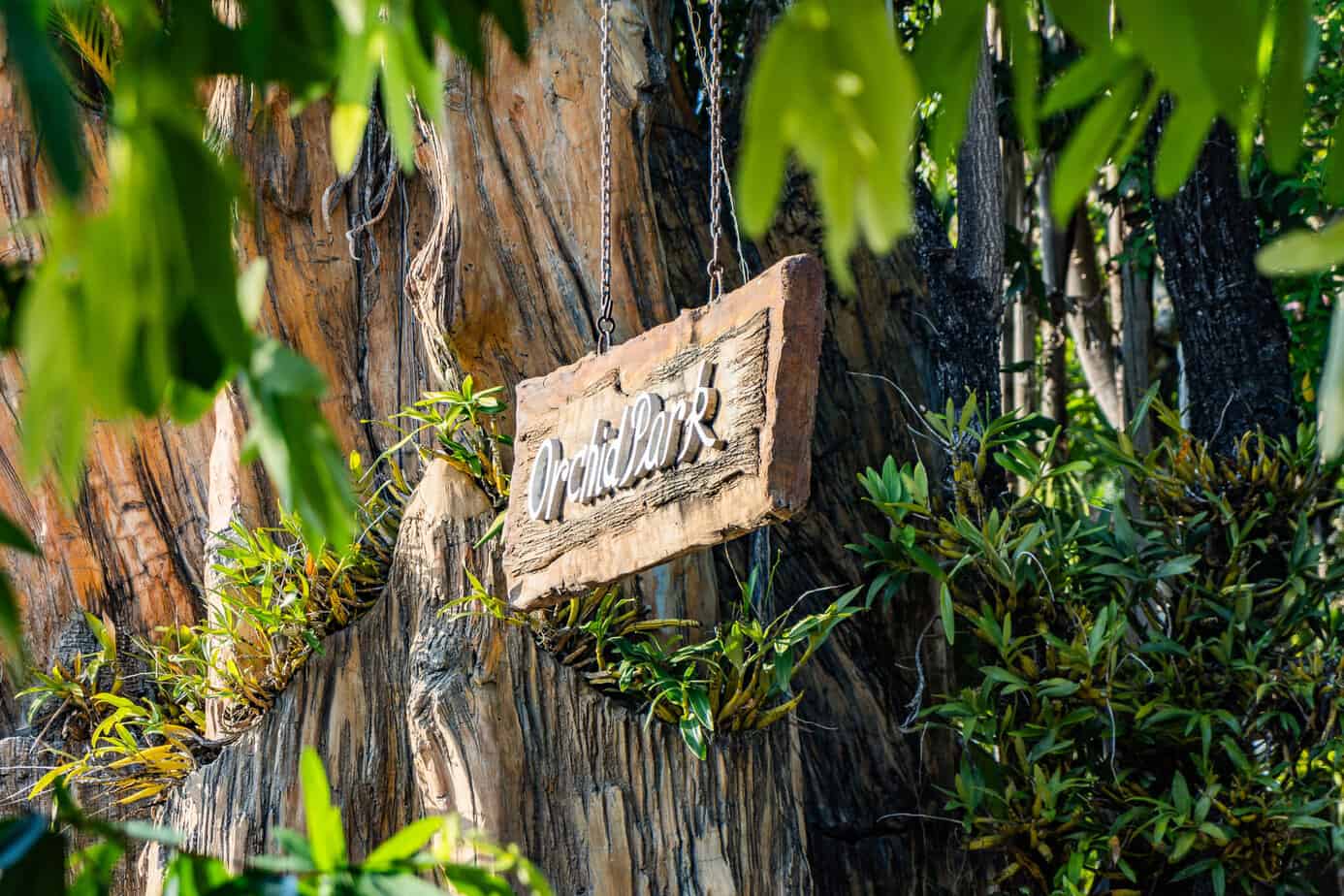 Orchid Park im Royal Park Rajapruek