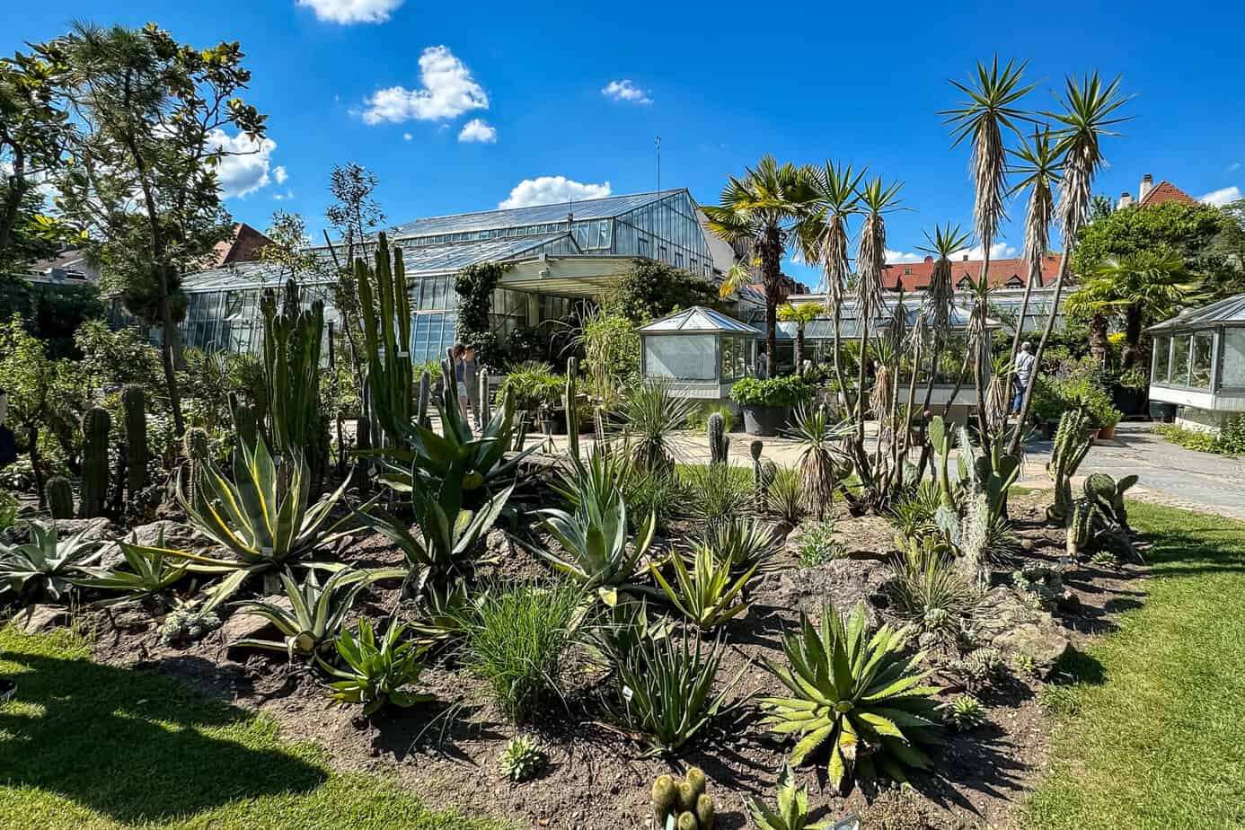 Landschaft im botanischen Garten