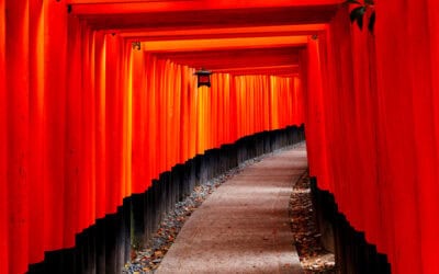 Reise nach Japan: Tipps & Tricks für die 1. oder 2. Reise