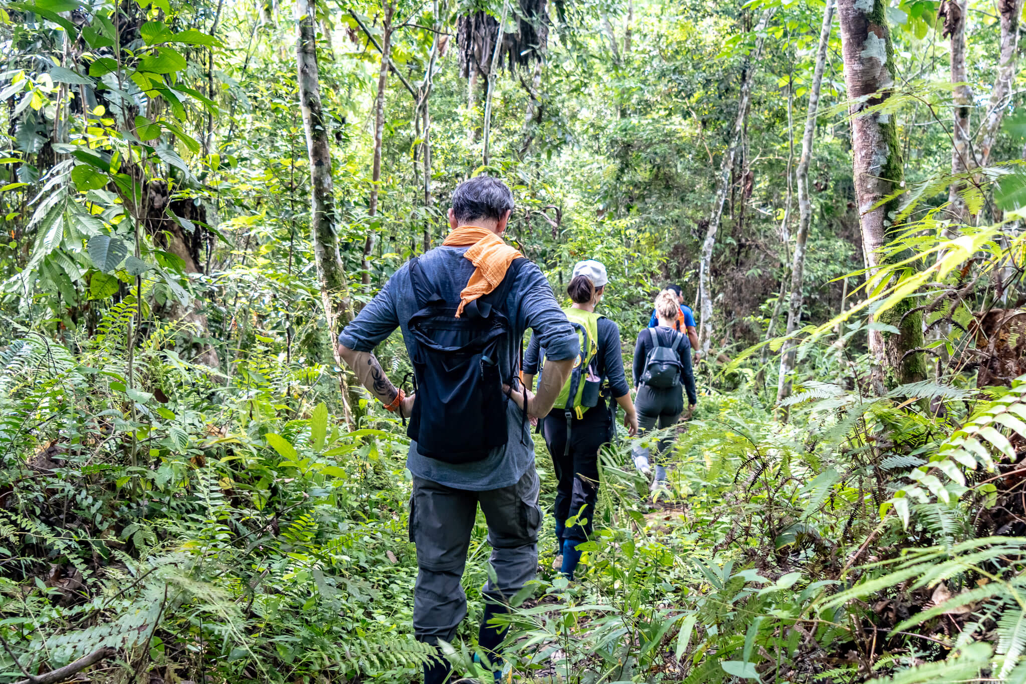Umwelt- und Tierschutz in Sumatra mit Project Wings 5 Bei der Ranger Patrol mitten im Regenwald