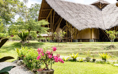 Barbaralicious 1 Umwelt- und Tierschutz in Sumatra mit Project Wings