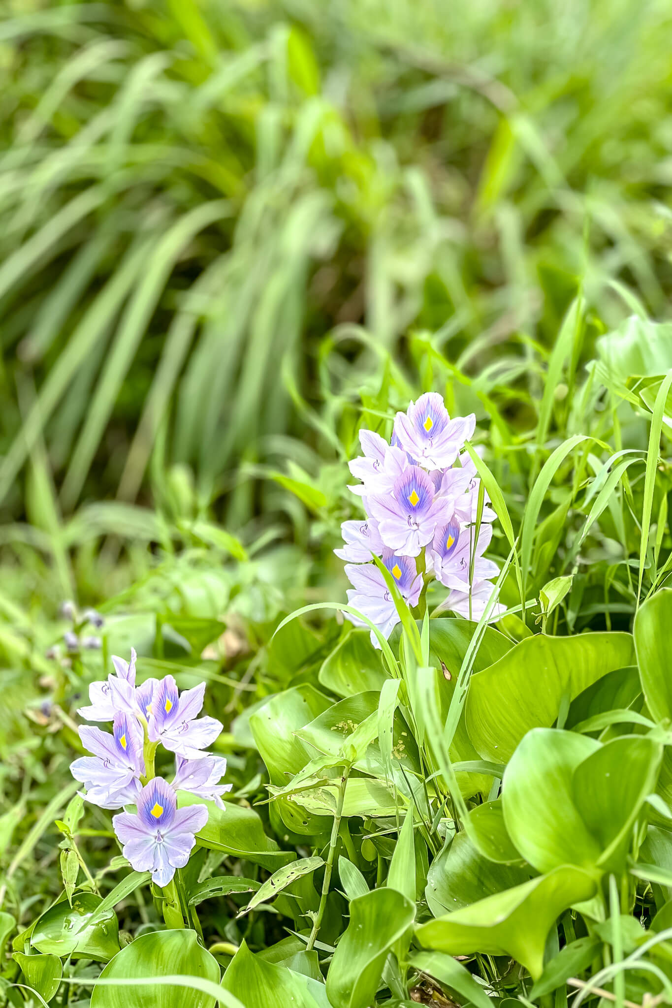 Im Recycling Village Im Recycling Village