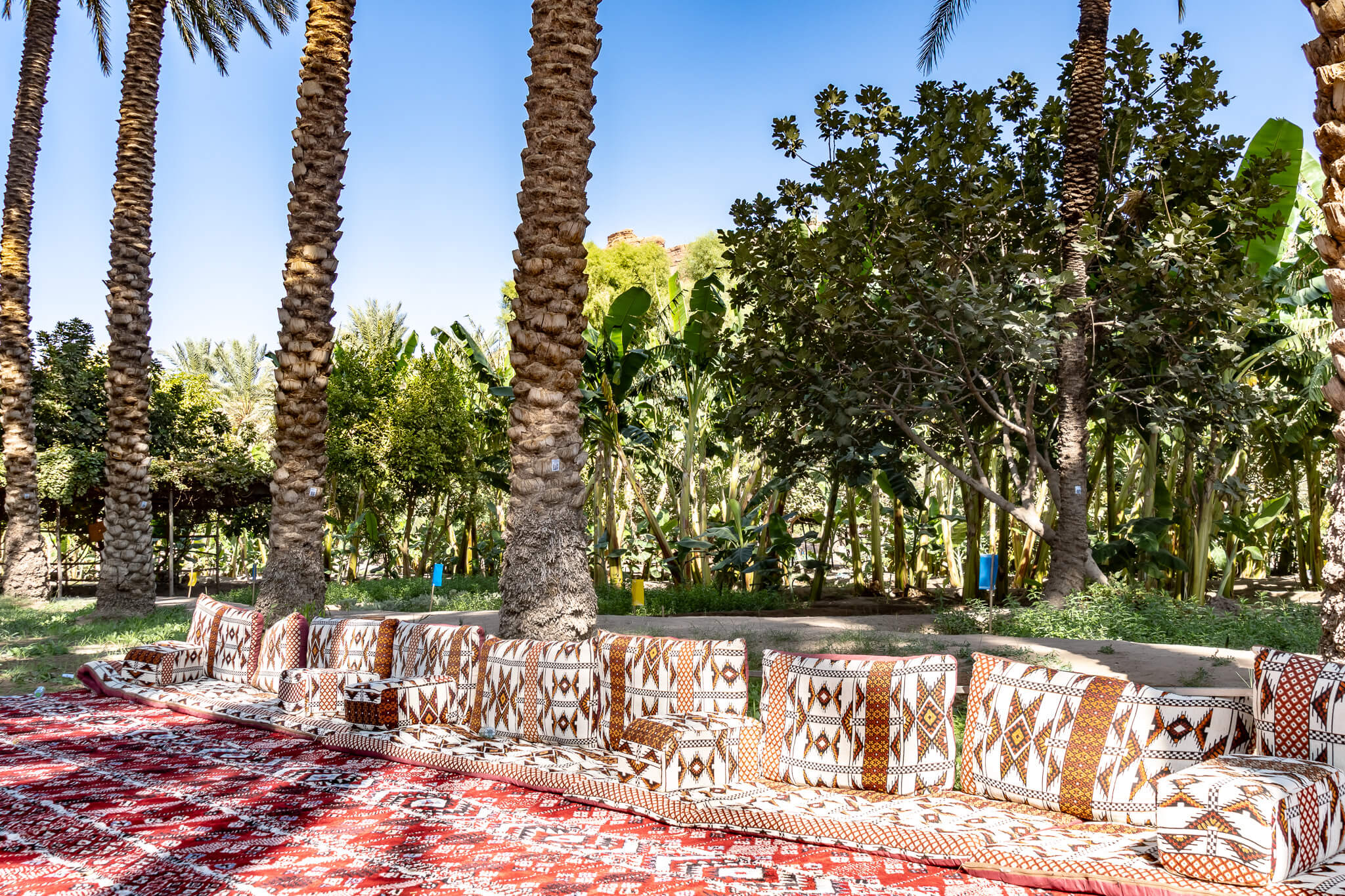 In der Oase in Al-Ula