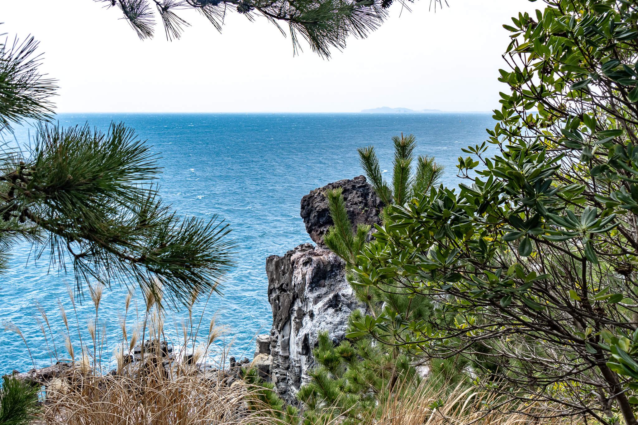 Jeju Island: 7 Highlights zwischen Vulkaninsel & Kirschblüte 8 Am Jusangjeolli Cliff