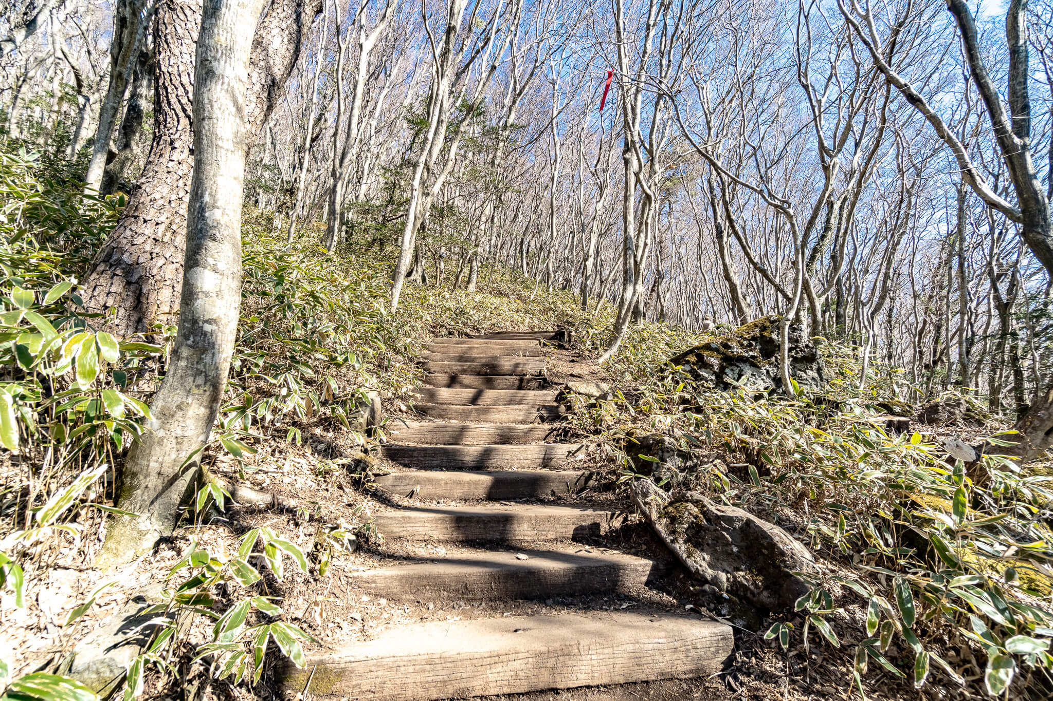 Jeju Island: 7 Highlights zwischen Vulkaninsel & Kirschblüte 4 Auf dem Eoseungsaengak Trail
