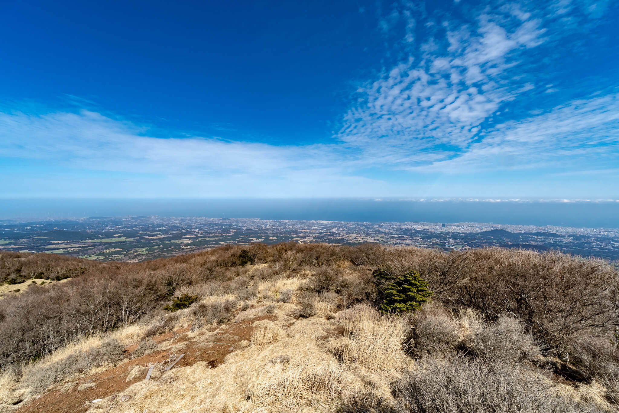Jeju Island: 7 Highlights zwischen Vulkaninsel & Kirschblüte 5 Blick vom Viewpoint aufs Meer