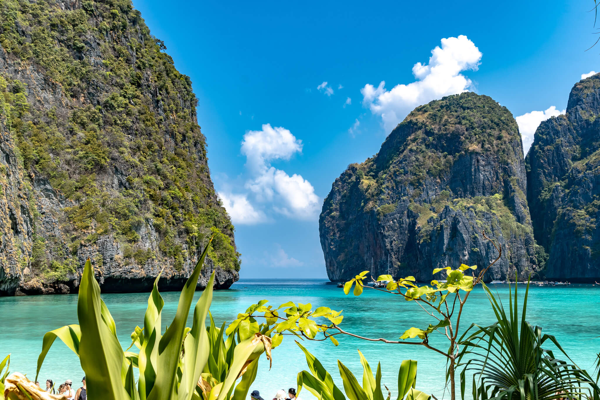 Das Highlight vom Insel-Hopping in Thailand Maya Bay