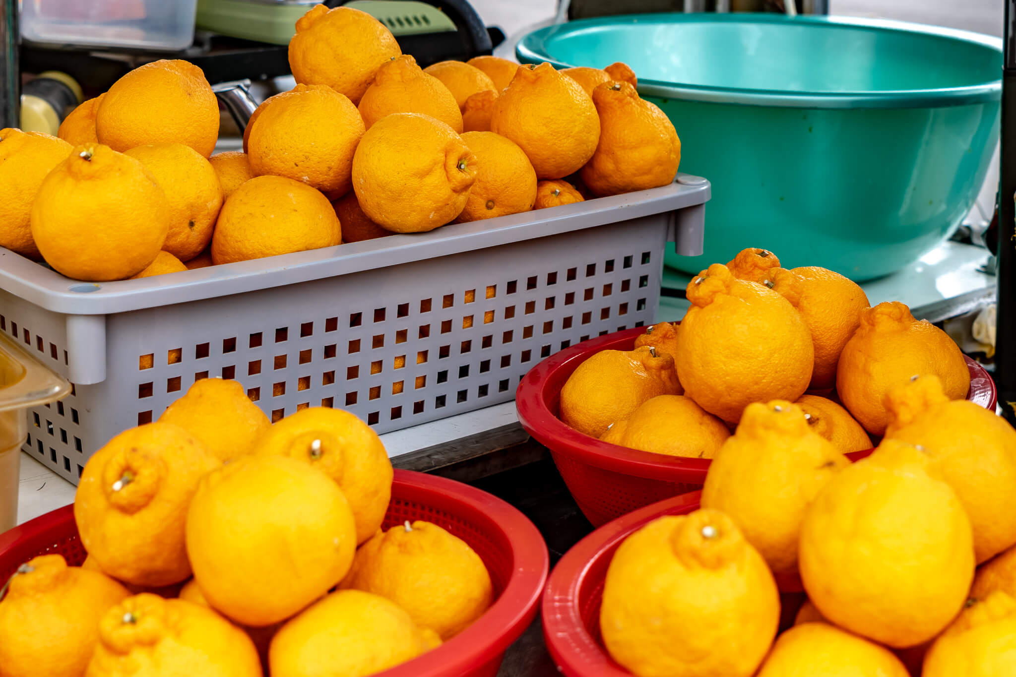 Jeju Island: 7 Highlights zwischen Vulkaninsel & Kirschblüte 26 Das sind Hallabong Mandarinen